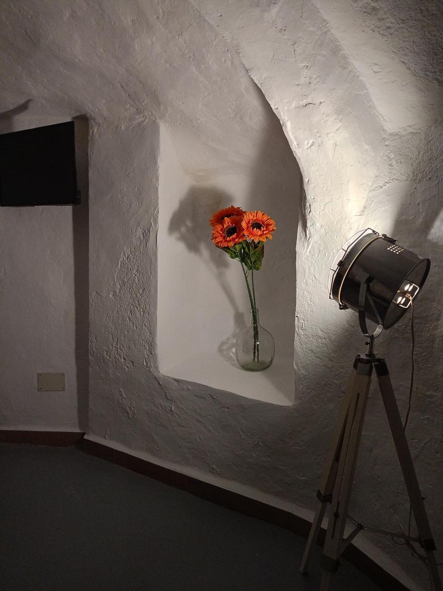 Encantadora Casa-Cueva En Pleno Barrio Alfarero De Níjar Εξωτερικό φωτογραφία
